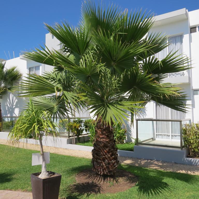 Lua Hotel Champoton Exterior photo